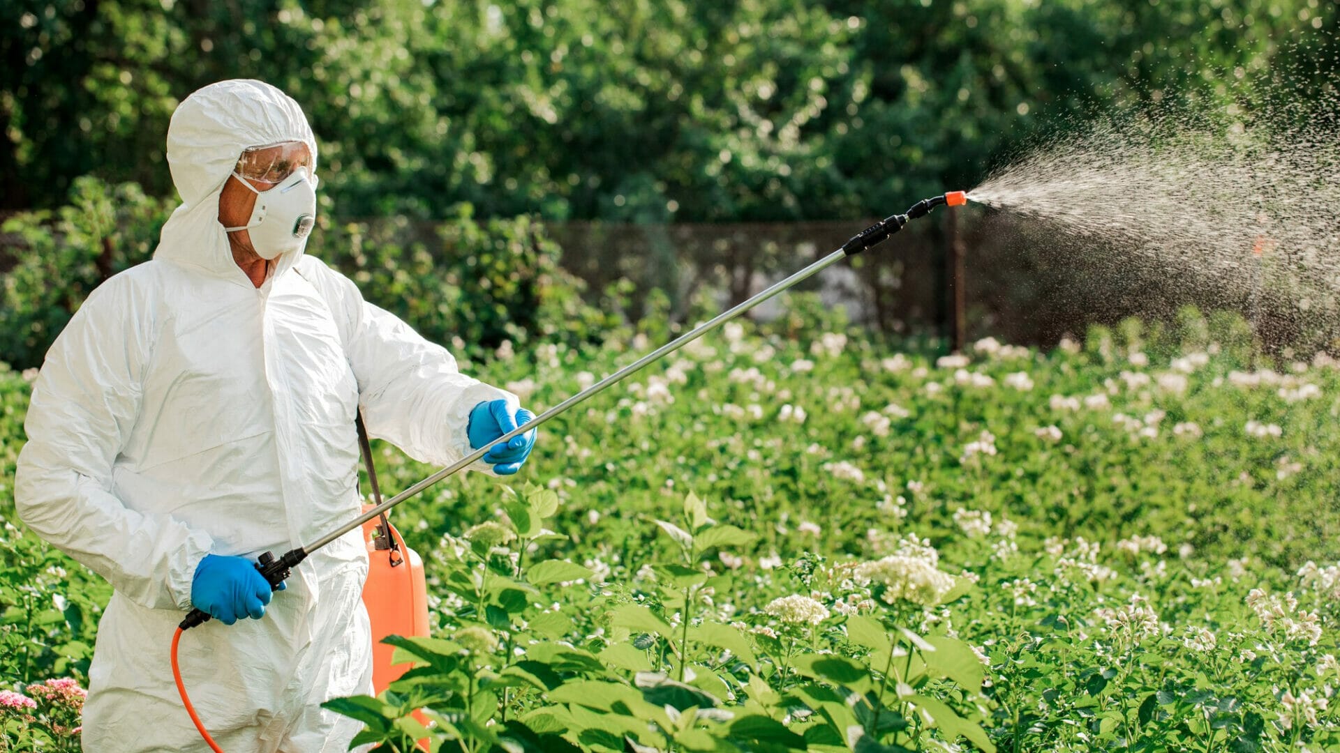 Precaution for Harmful Effects of Pesticides