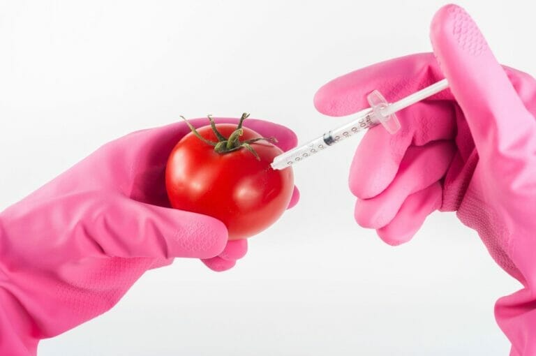 How Crops Are Genetically modified?