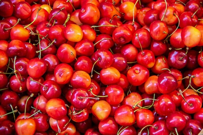 Are Cherry Pits Compostable?